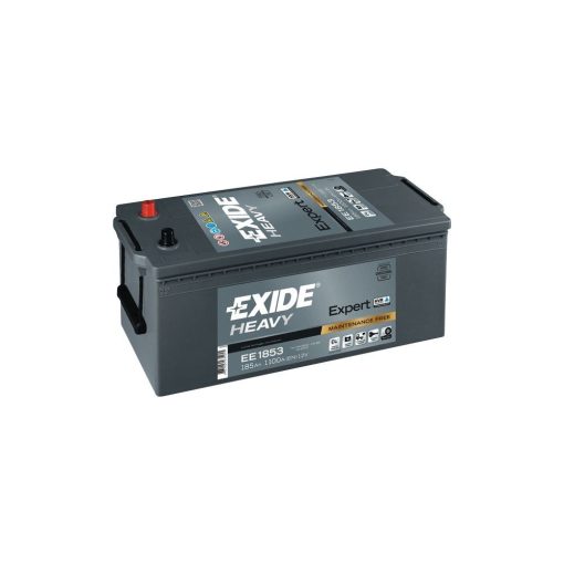 Exide Dual Ekspert batteri til de større skibe